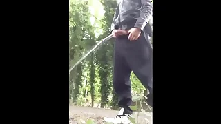 PissComp2